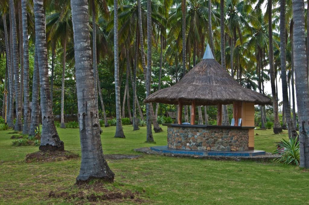 Crystal Paradise Resort Spa & Winery Narra Exterior foto